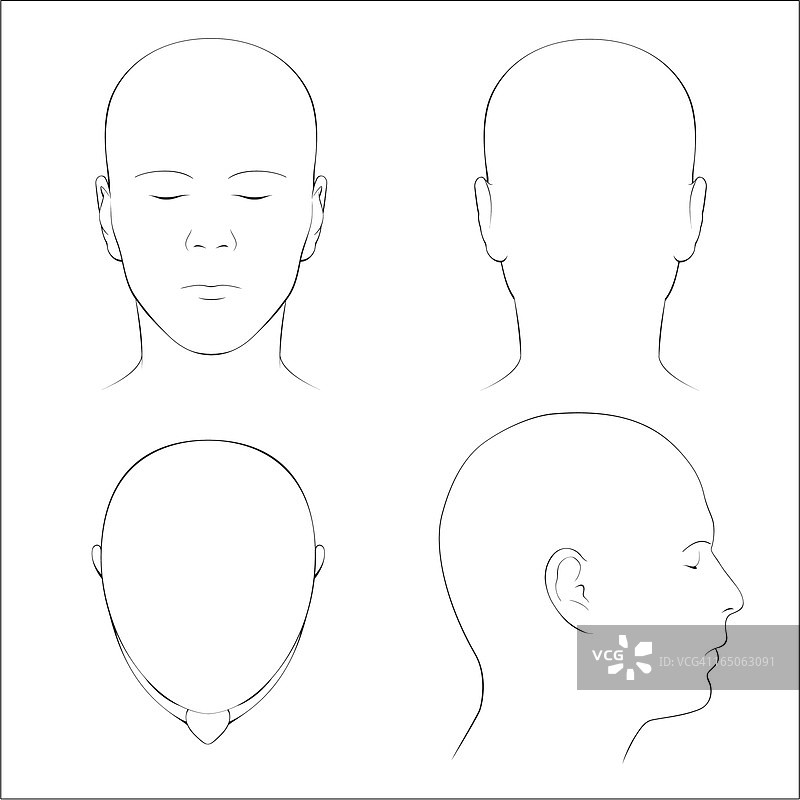 人类头部表面解剖-轮廓图片素材