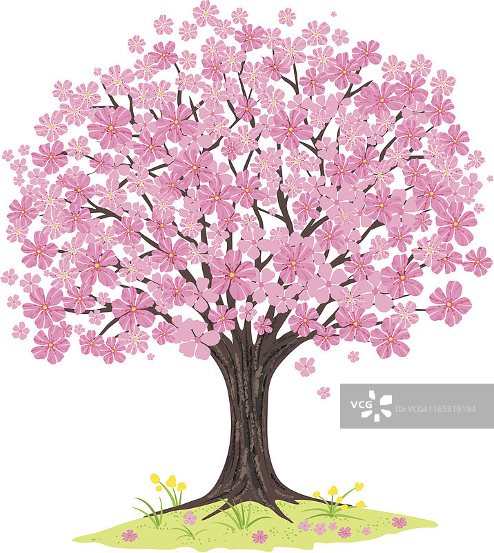 樱花的树图片素材