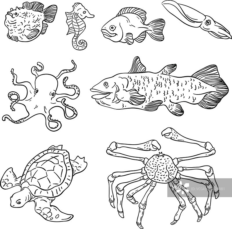 海洋动物插图在黑白图片素材