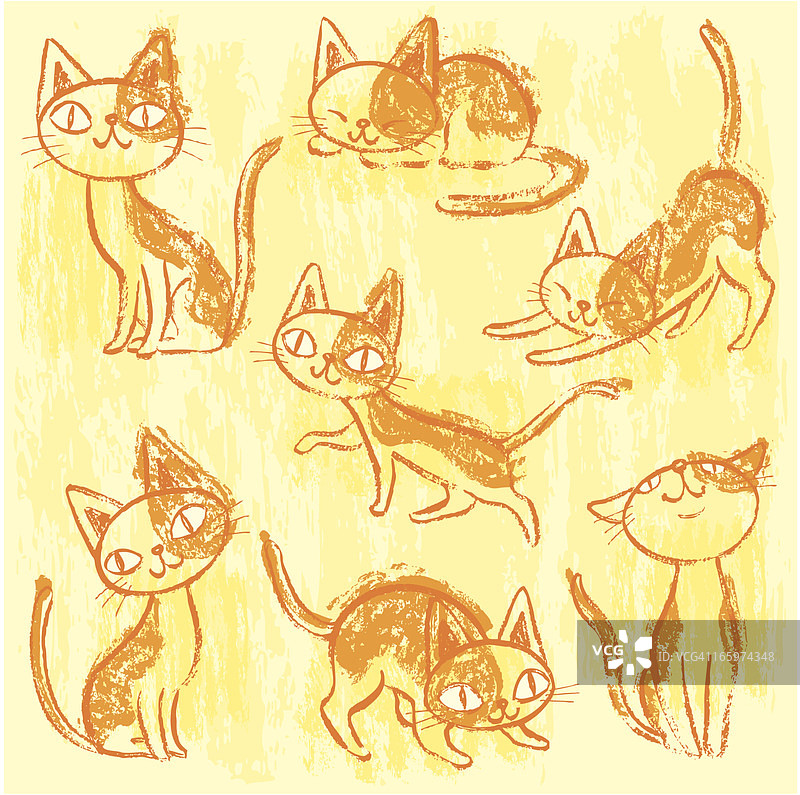 猫的七个姿势图片素材