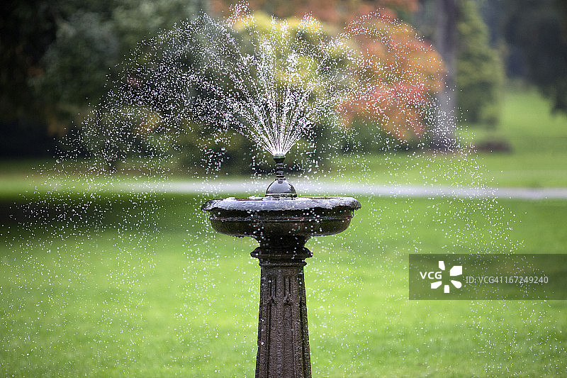 典雅的喷泉在正式的爱尔兰花园图片素材