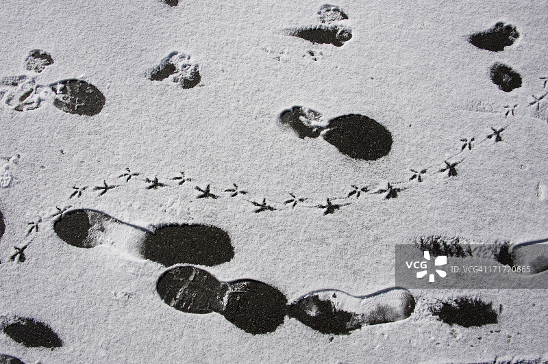 脚印在雪地图片素材
