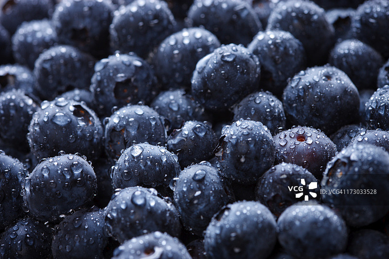 蓝莓——水平图片素材