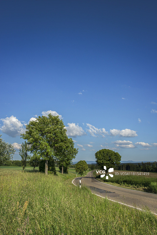 春天的乡间小路和树木图片素材