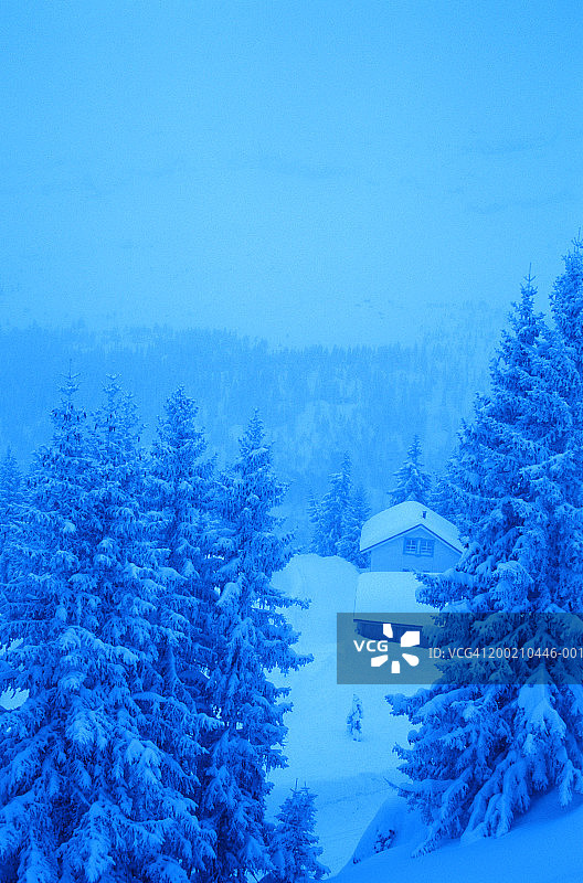 房子被雪覆盖的景象图片素材