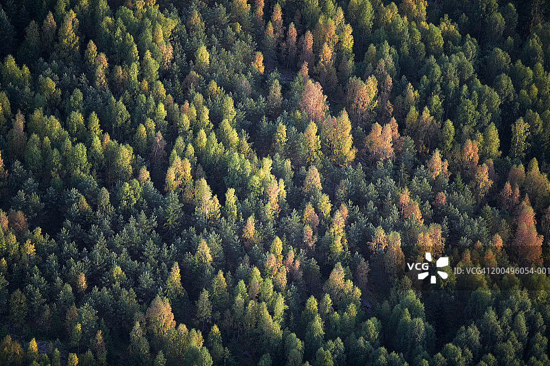 瑞典，Varmland, Sunne，秋天的森林，全框架，鸟瞰图图片素材