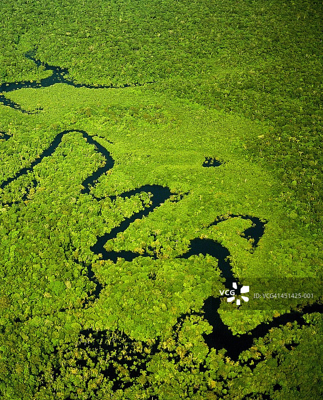 巴西，亚马逊，亚马逊河的支流，鸟瞰图图片素材