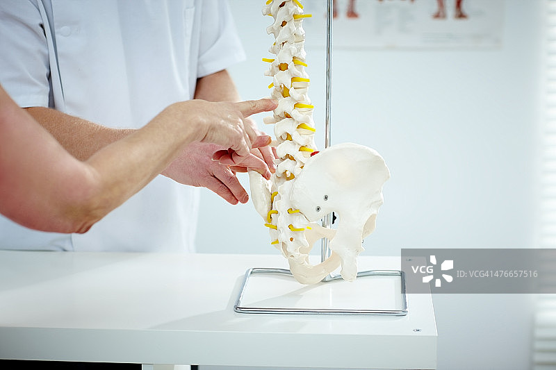 脊椎指压治疗师解释病人使用塑料模型图片素材