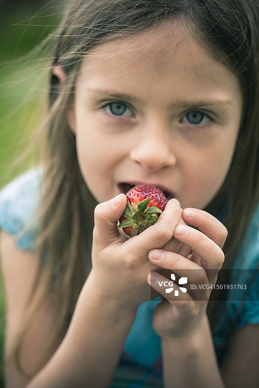 小女孩吃草莓的画像图片素材