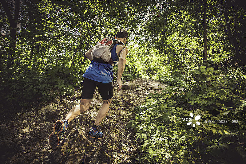 一个男人在森林里往山上跑的背影图片素材
