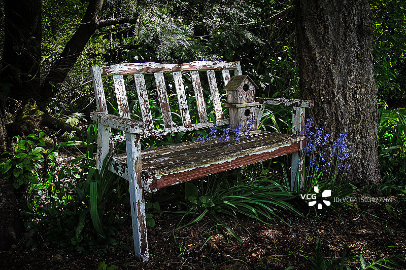 花园的长椅上图片素材