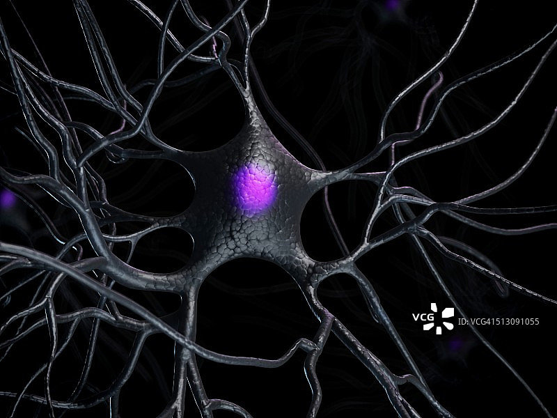 人类神经细胞，艺术品图片素材