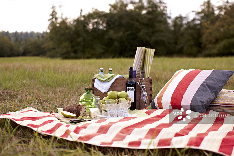 野餐时，在草地上的毯子上放上葡萄酒、水果、面包和奶酪图片素材
