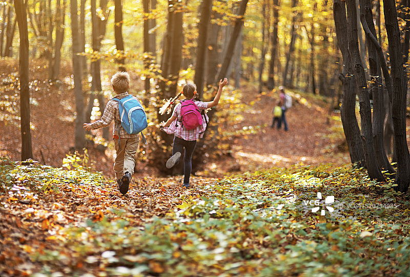 孩子们在秋天的山毛榉林中奔跑图片素材