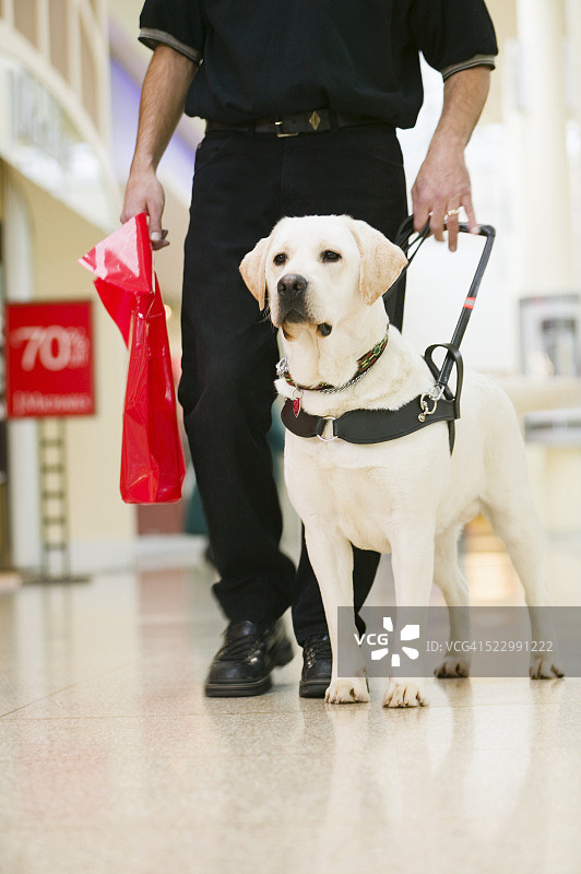 导盲犬和主人在购物中心图片素材