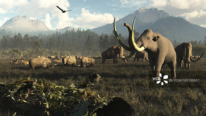 哥伦比亚猛犸象和野牛在古老的北美平原上漫步。图片素材