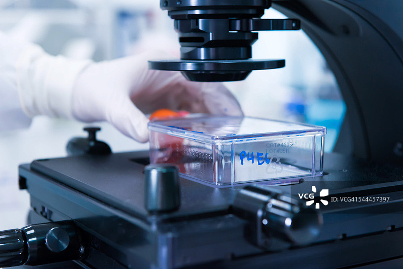 癌症研究实验室，男性科学家在显微镜下研究细胞图片素材