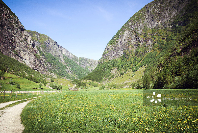 挪威中部，斯堪的纳维亚半岛，北欧的一个山谷里的草地图片素材
