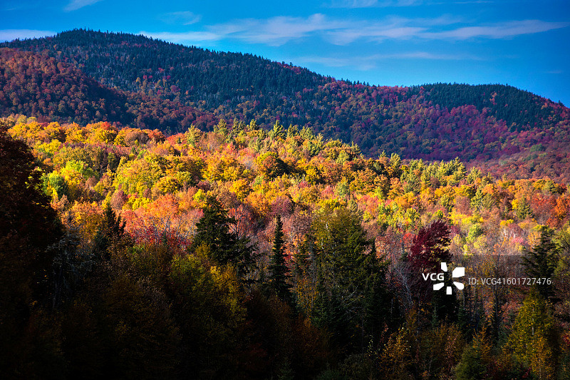 新英格兰的秋天是色彩的高峰期，黄色、橙色和红色的枫树让人眼花缭乱!图片素材