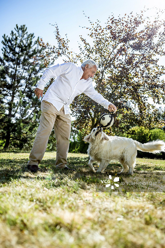 老人在草地上和狗狗玩耍图片素材