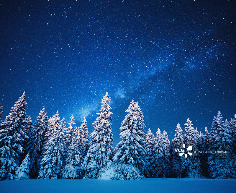星空下的冬日森林图片素材