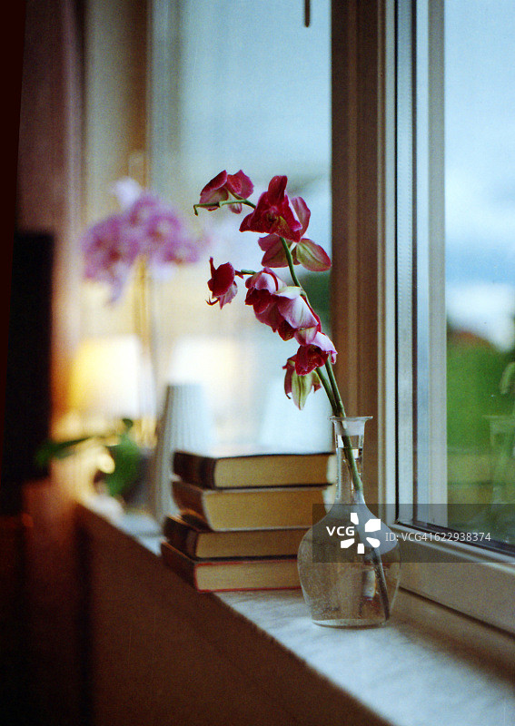 花瓶里放一朵花，窗台上放一堆书图片素材