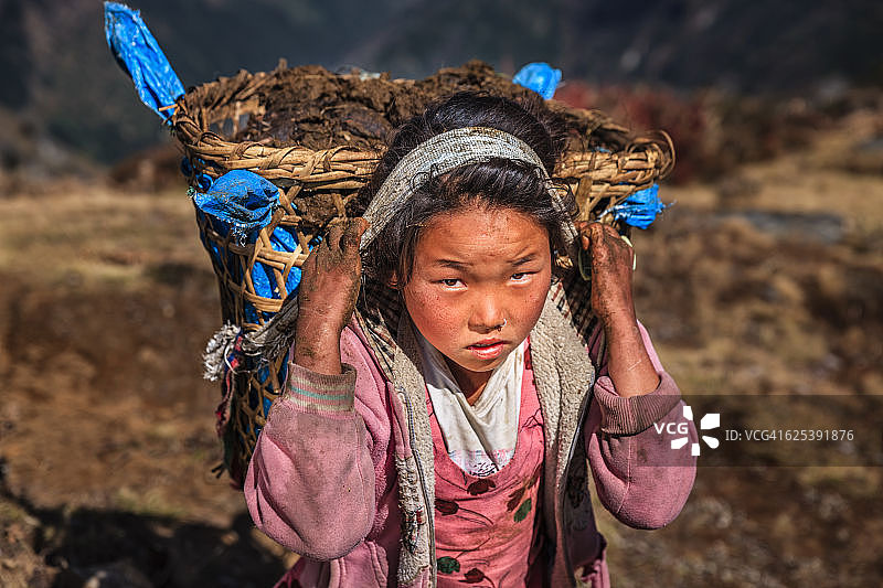 一个尼泊尔小女孩背着40公斤的牦牛粪图片素材