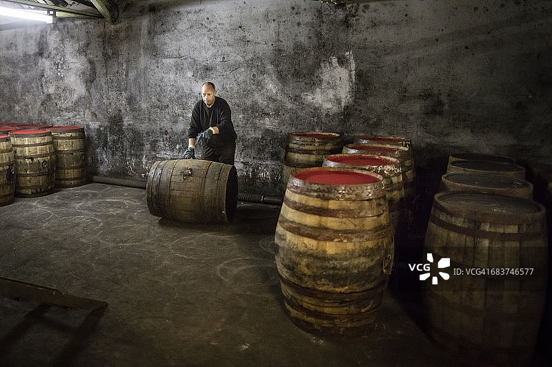 工人在威士忌酒厂仓库里滚动威士忌酒桶图片素材