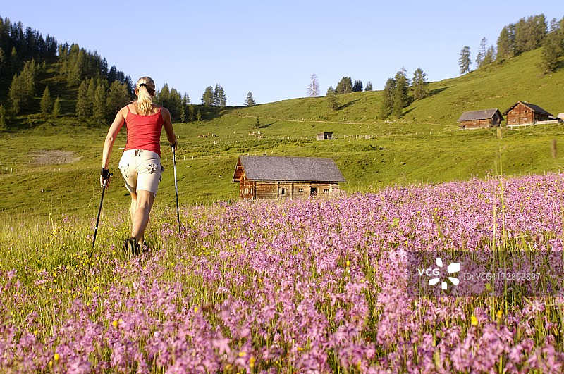 奥地利，一个北欧女人在草地上散步图片素材