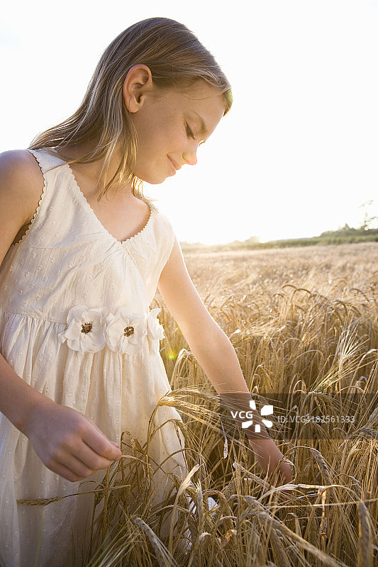 年轻的女孩站在玉米地里图片素材