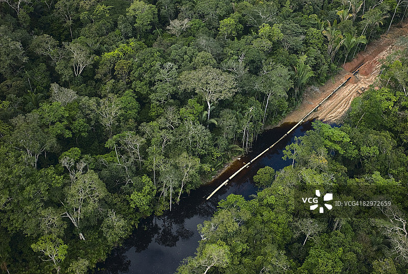 热带雨林中正在建设的管道图片素材