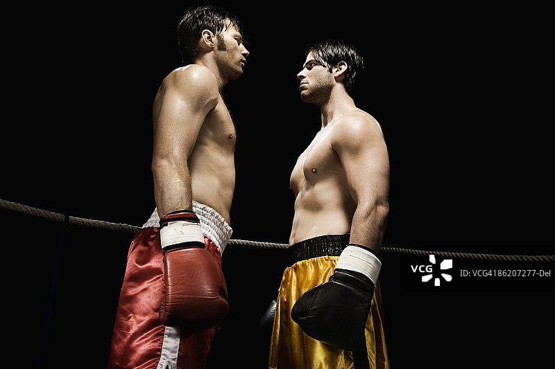 拳击手在拳击场上对峙图片素材