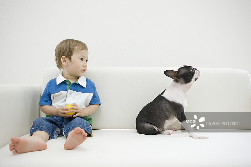 男孩和狗在沙发上图片素材