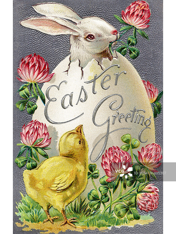 一张古老的复活节明信片，一只小鸡看着一只兔子从蛋里孵出来图片素材