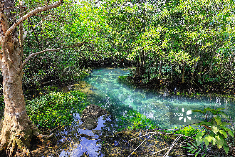 红树林与绿松石水道在泰国甲米图片素材
