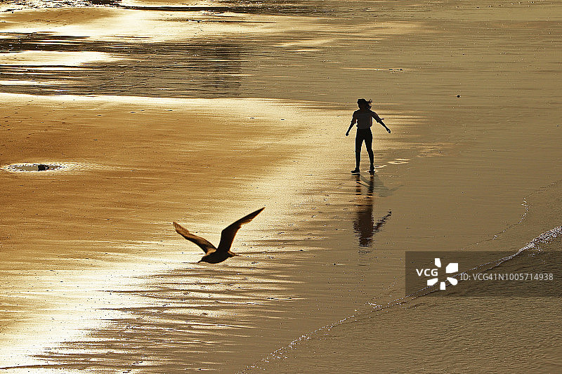 一个女孩和一只海鸥在克罗默海滩，诺福克，英国图片素材