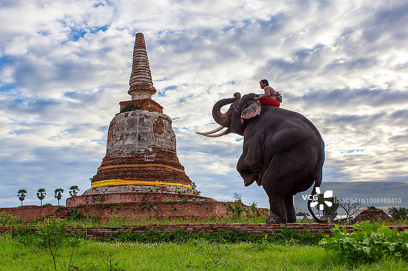 泰国大城府的大象和老佛塔图片素材