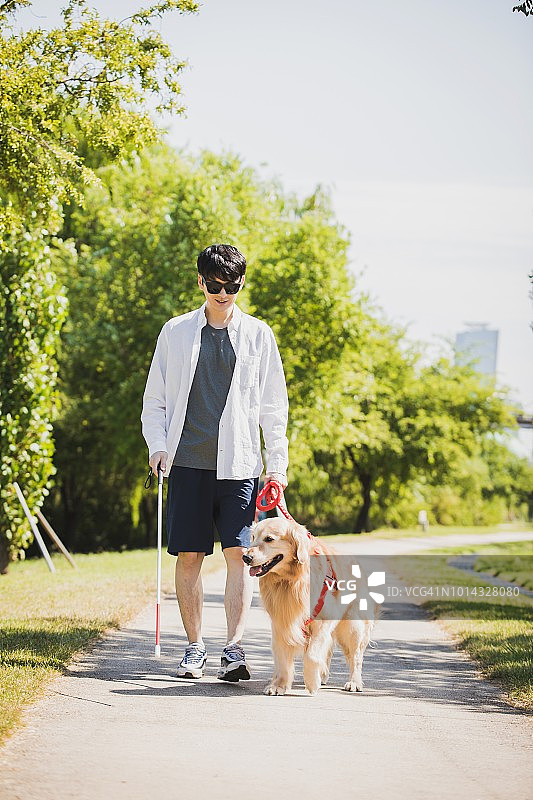 一只导盲犬和一个盲人在散步图片素材