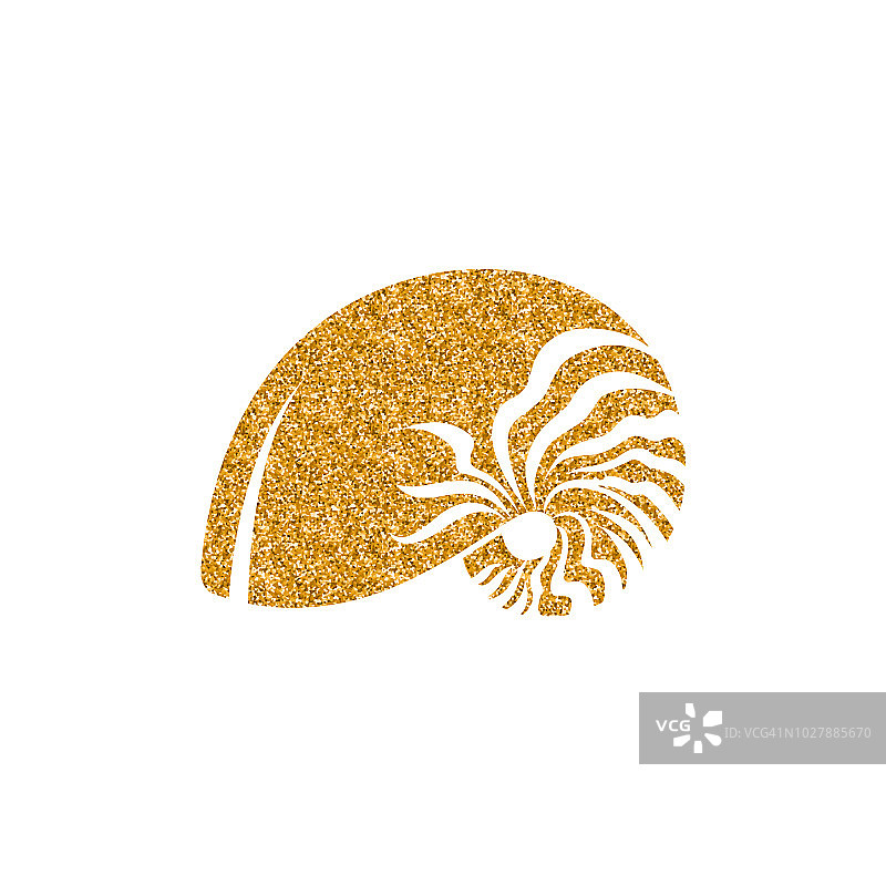 金色闪光图标-鹦鹉螺图片素材