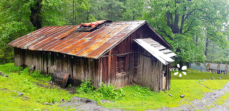 森林中古老的、贫瘠的、废弃的、锈迹斑斑的小屋图片素材