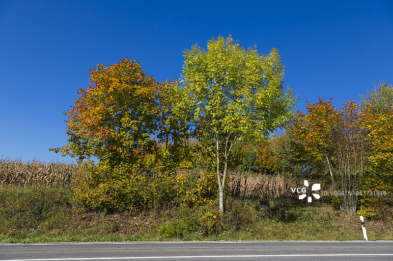 高速公路旁五颜六色的秋树图片素材