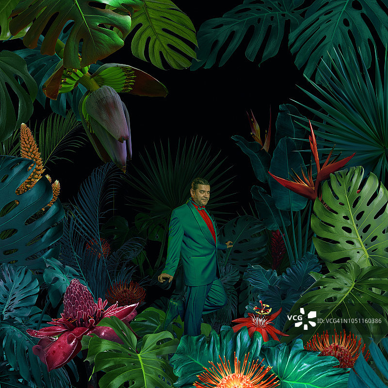 超现实的丛林肖像图片素材