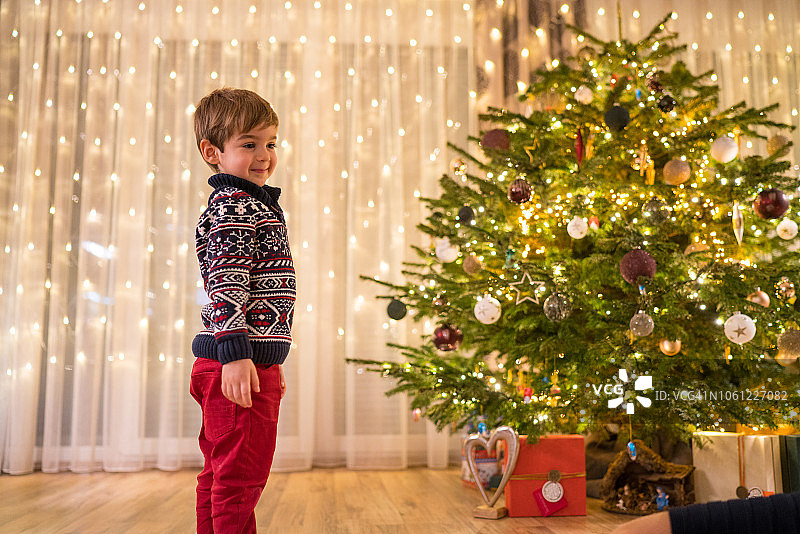 小男孩在圣诞树前等待图片素材
