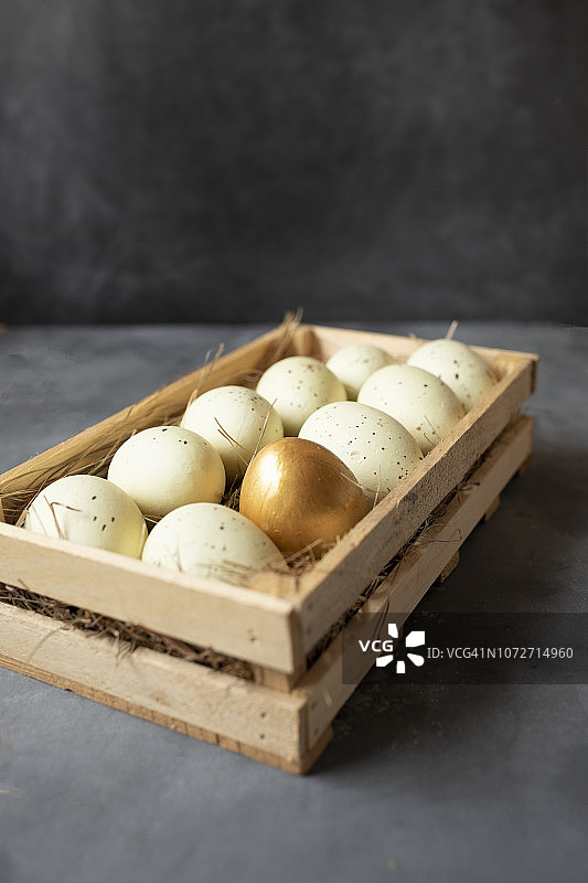 蛋和一个金蛋在窝篮子在黑色的背景。图片素材