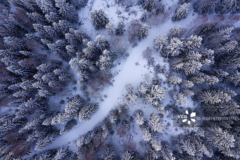 白雪覆盖的森林的航拍图像图片素材