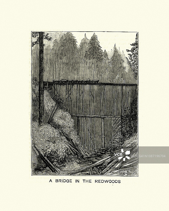红杉木桥，加州，1884年图片素材