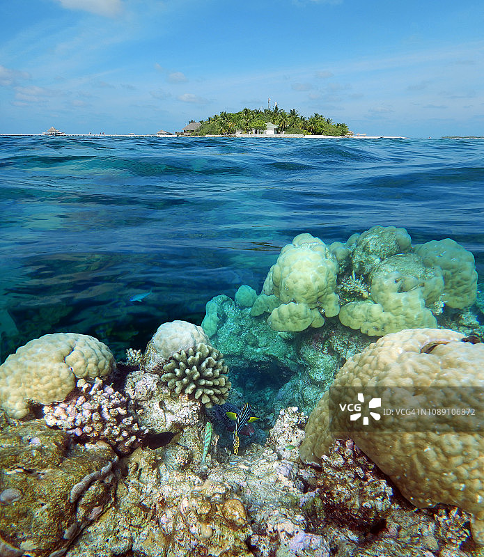 马尔代夫，埃里亚杜岛的水下和上方图片图片素材