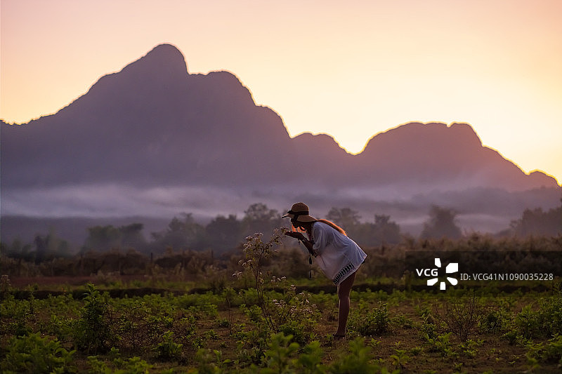 日落时分，一名妇女在老挝的山景中闻着花香。图片素材
