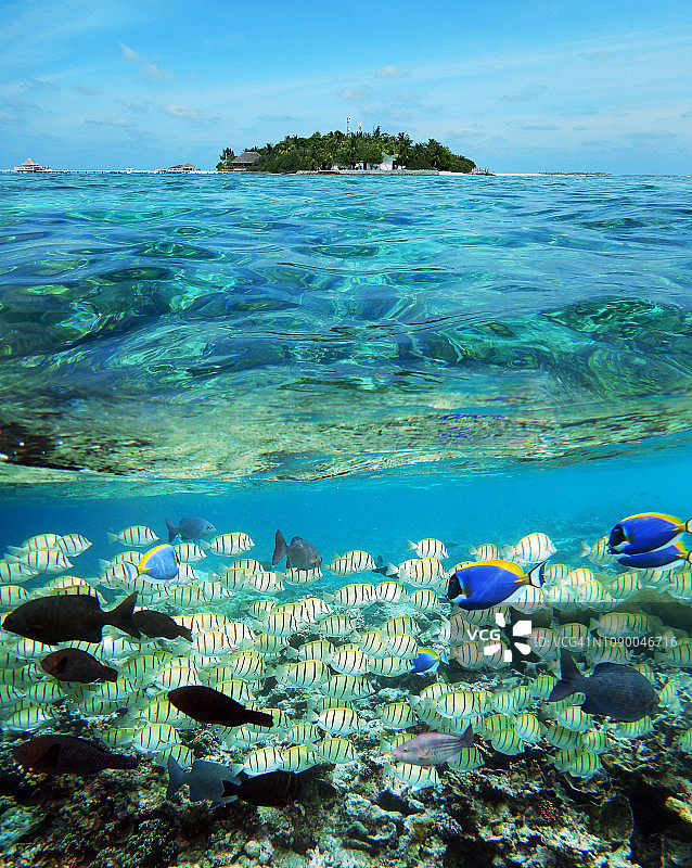 埃里亚杜岛的分层视图与鱼群图片素材