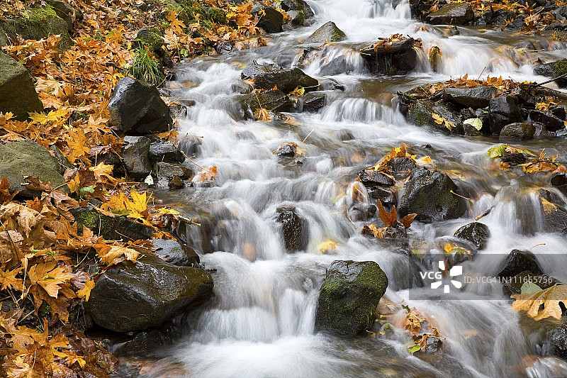 水从瓦基纳溪的岩石上流过图片素材
